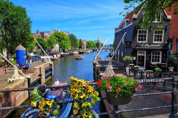 Gda sk L tnival k T rk pek Utaz skatal gus Gda sk L tnival k T rk pek Utaz skatal gus