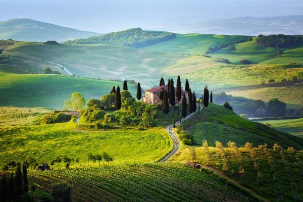 Chianti régiója a világhírű boráról is nevezetes, nemcsak a csodás vidékről