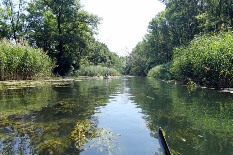 A Szigetköz népszerű vízi túra helyszín