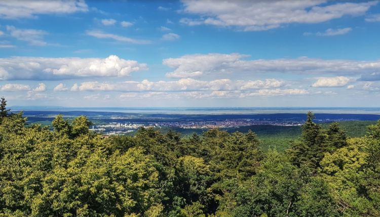 Kilátás Sopronra és mögötte a Fertő-tóra