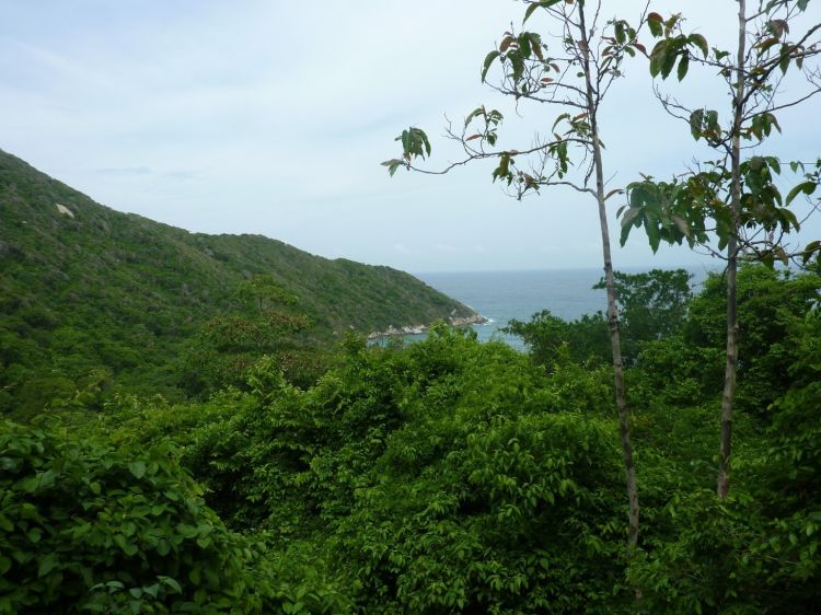 Tayrona Park