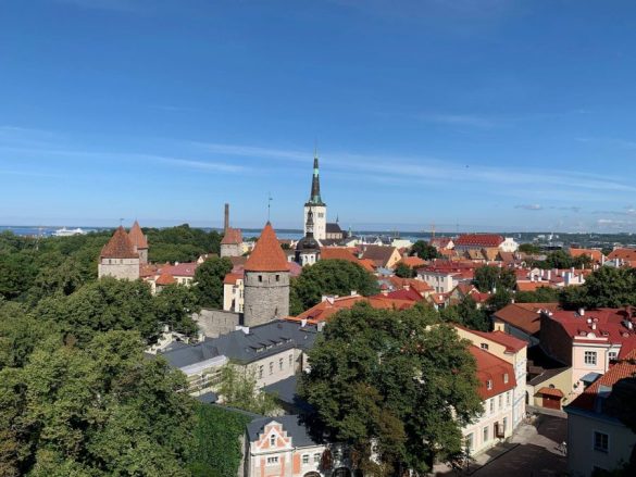 Dóra észtországi beszámolója