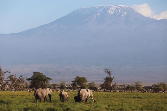 Az óceántól a szavannáig: az ezerarcú Kenya