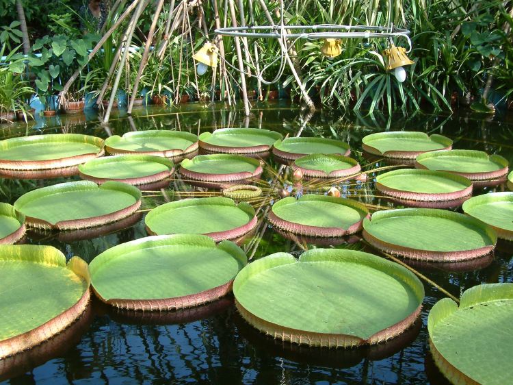 Kolozsv r L tnival k T rk pek Utaz skatal gus Kolozsv r L tnival k T rk pek Utaz skatal gus