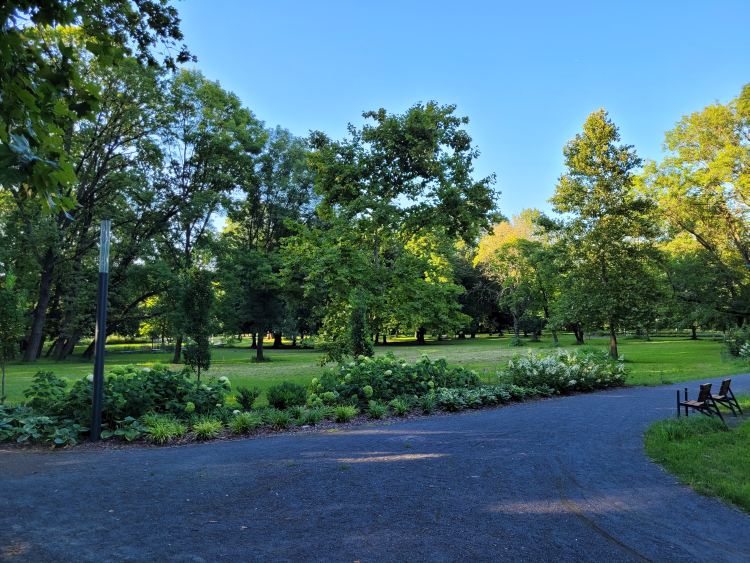 A belvárosban lévő nagy területű zöld park népszerű hely