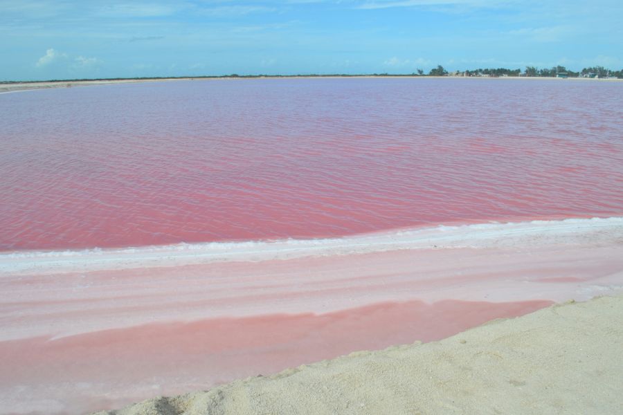 A víz természetes úton ilyen rózsaszín