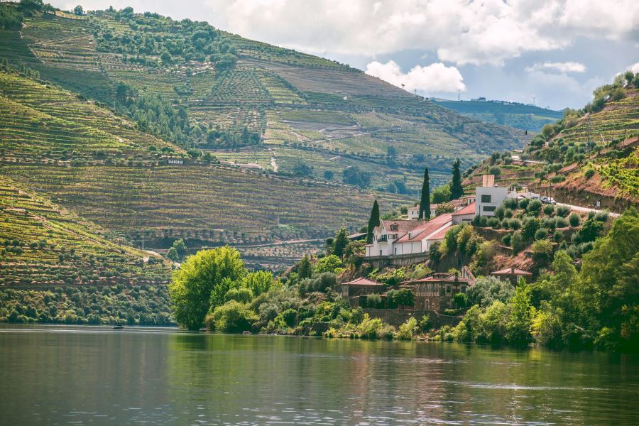 A Douro menti szőlők csodás látványt nyújtanak