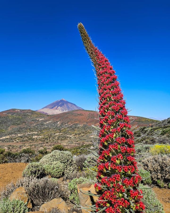 Az ott a Teide