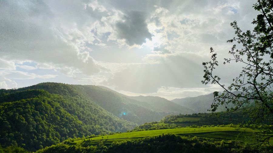 Alpesi jellegű park