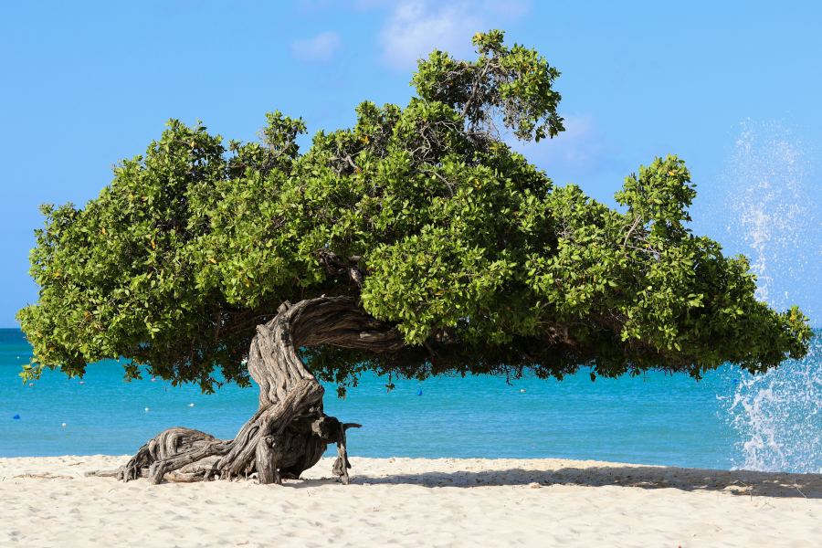 A világ egyik legszebb fehérhomokos strandja