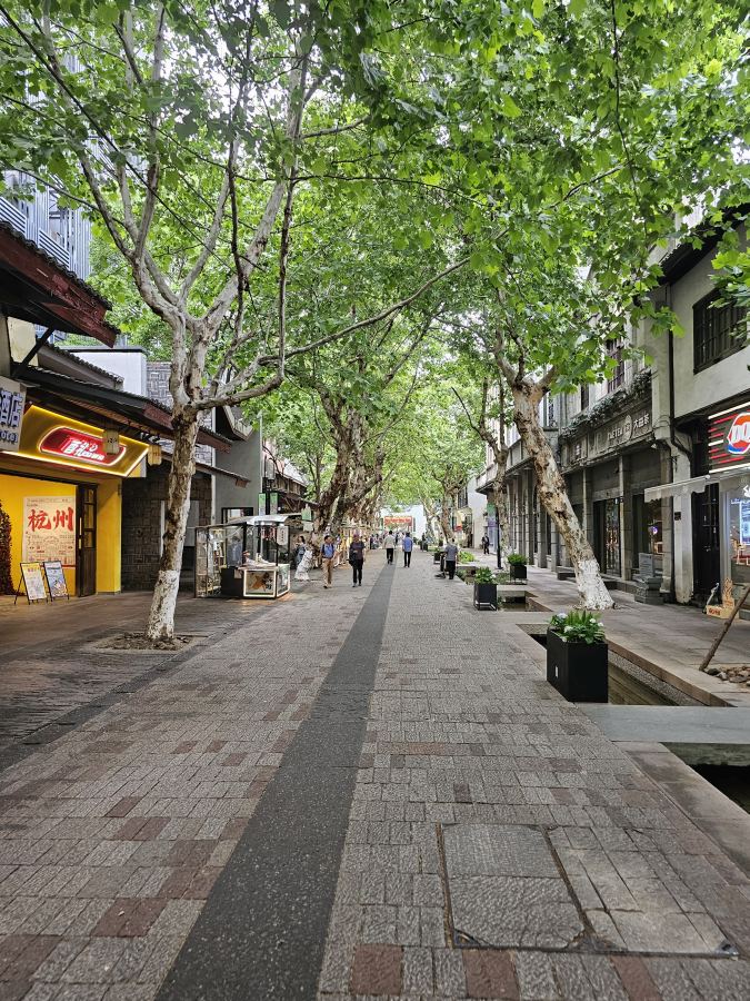 Nansongyu