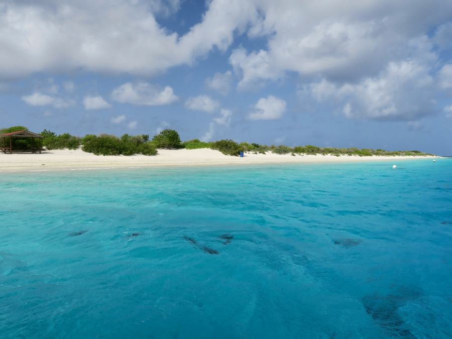 Bonaire a búvárok egyik kedvelt helye
