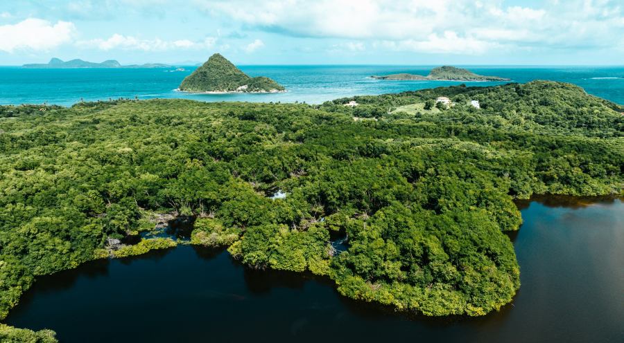 Grenada híres a fűszereiről is