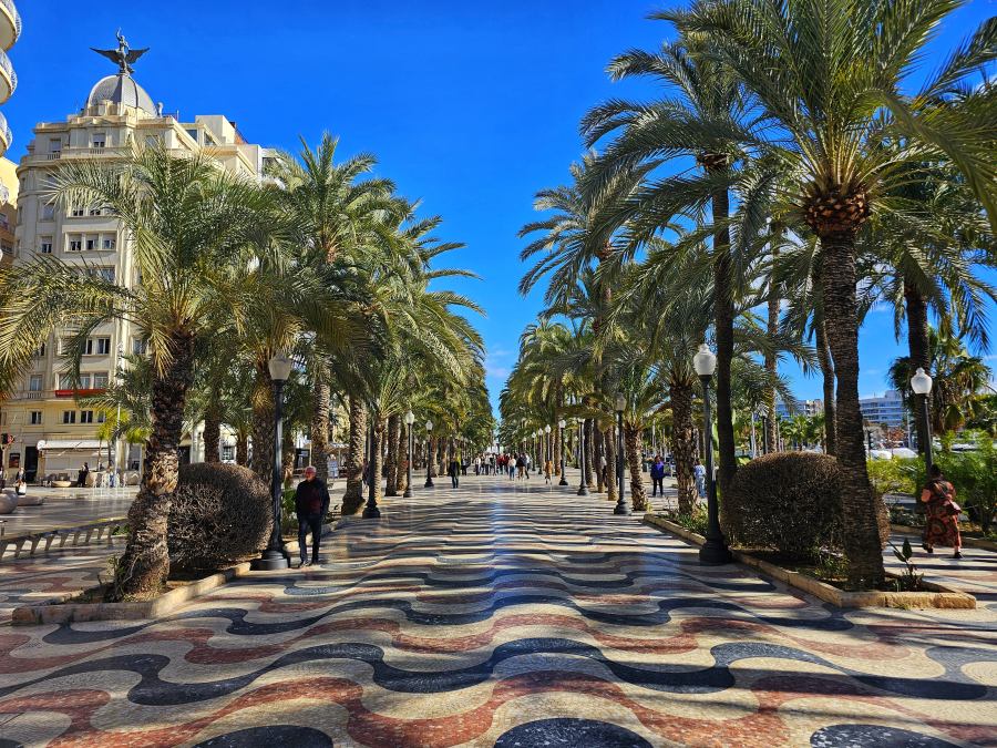 A pálmafás sétány