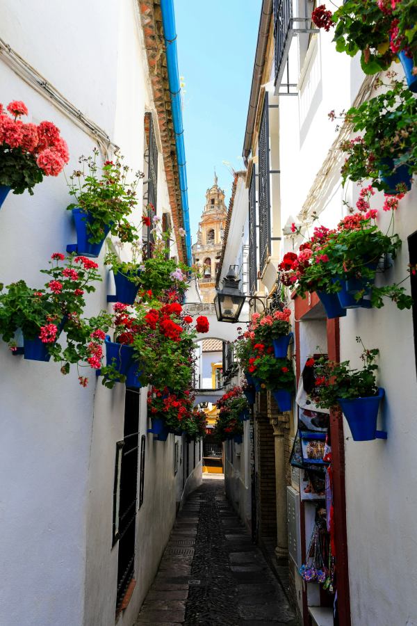 A kis utca a negyed legszebb része