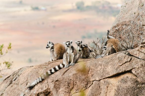 Madagaszkár látnivalók