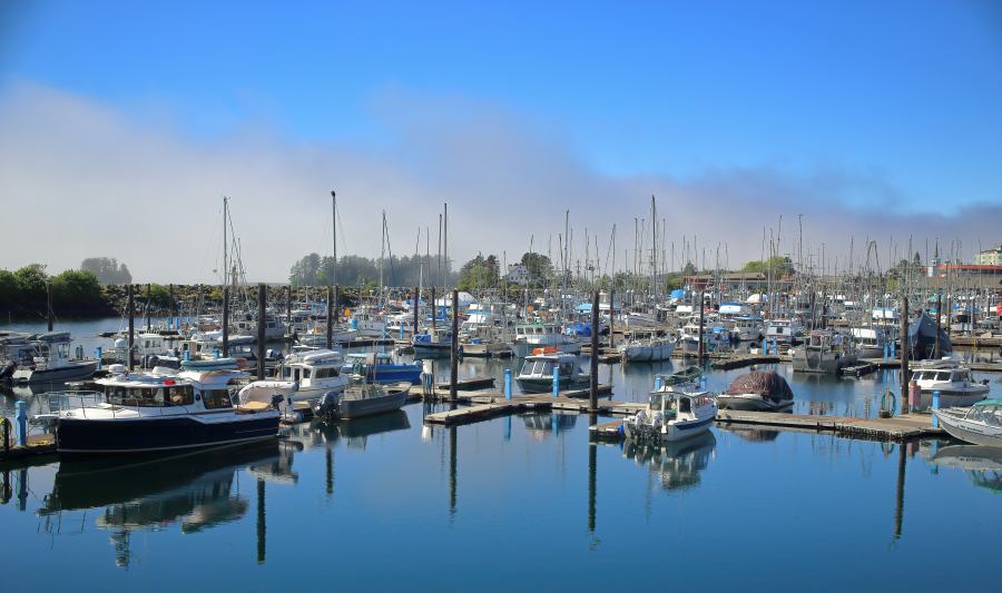 A halászhajók egyik legfontosabb kikötője