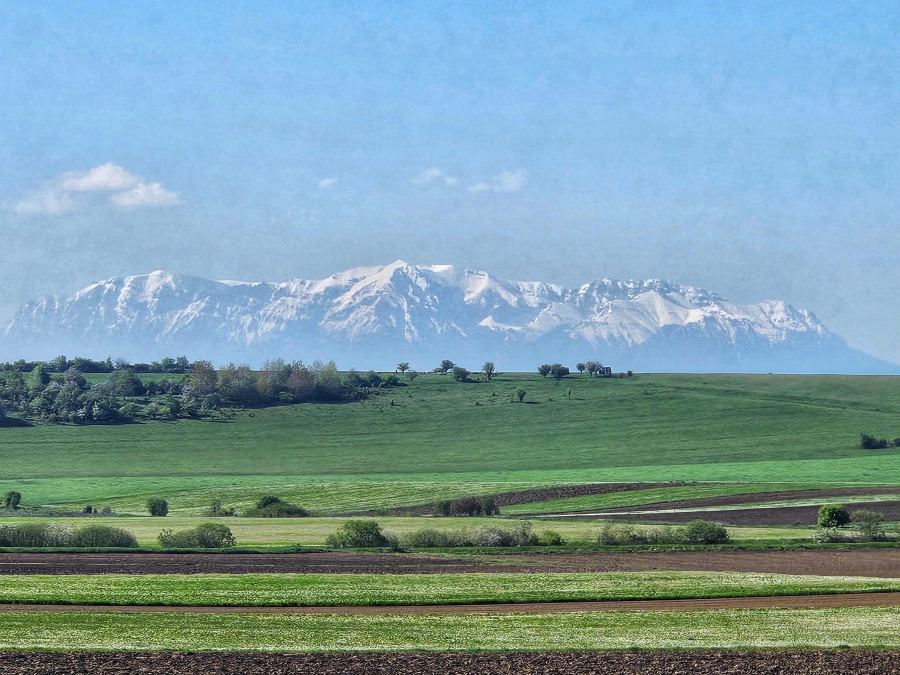 Fogarasi-havasok